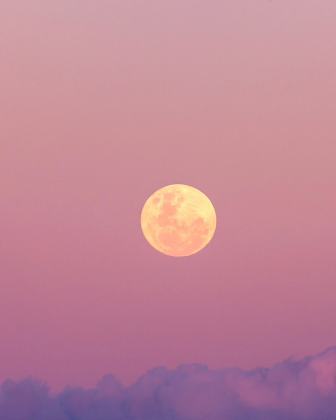 Pink Full Moon: A soft return to what is opening